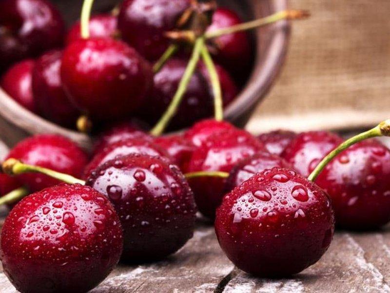 Вишня купить саженцы из питомника в Шелехове